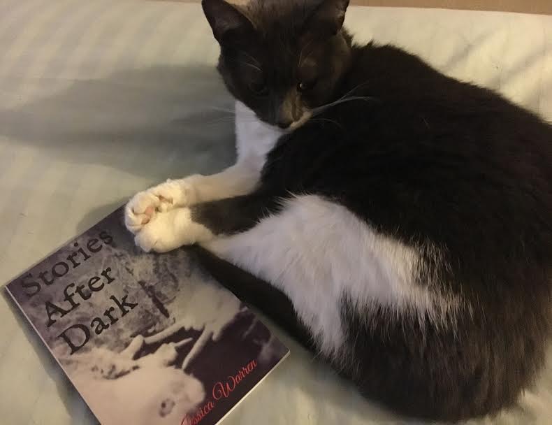 d3c1de52-0e15-420b-a07e-562d5b019a90